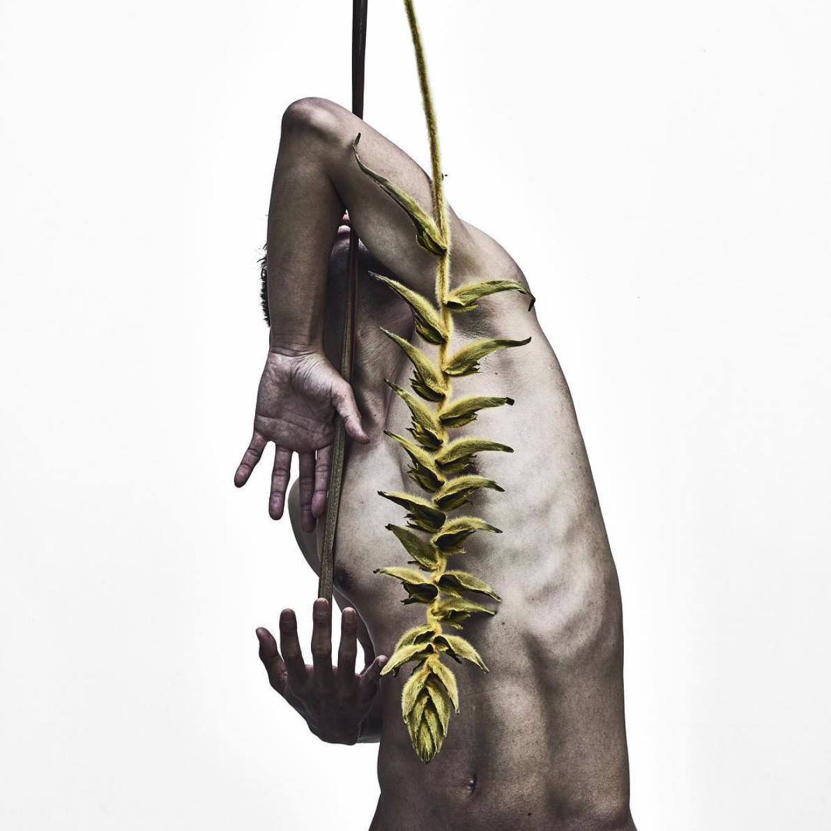 フラワーアーティストある日